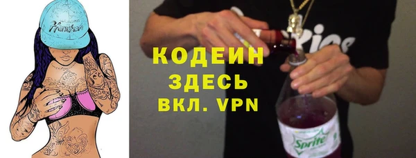 индика Волоколамск