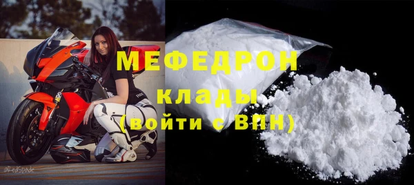 индика Волоколамск